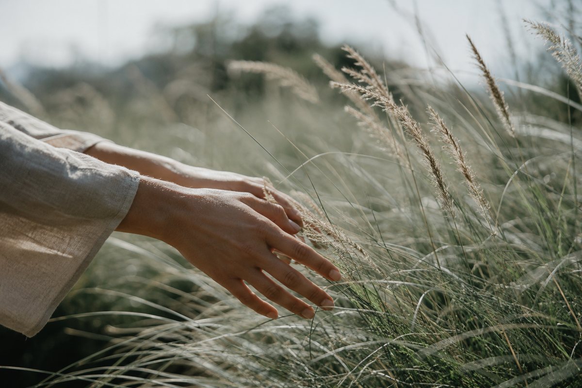 Why Tallow Balm for Dry Skin Feels Nourishing